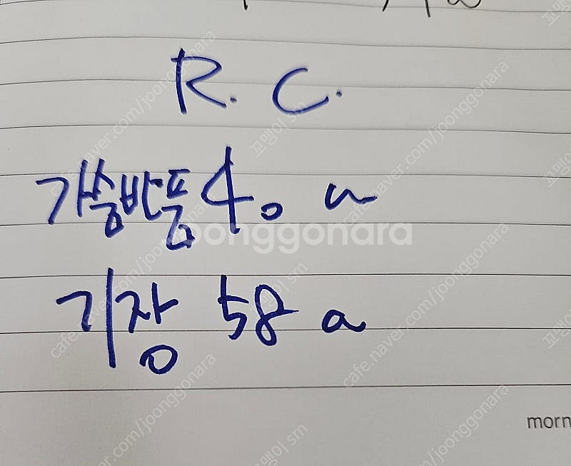 ROBERTO COLLINA 터들넥 24s 직구--9