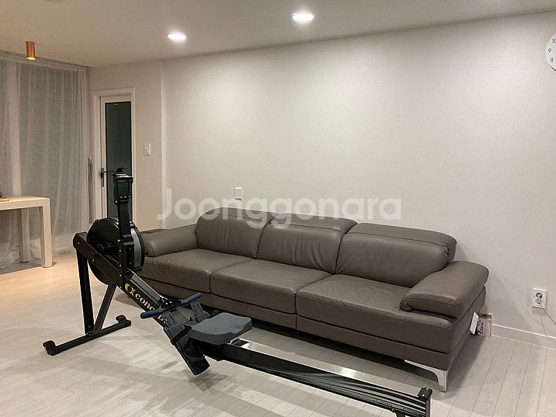컨셉2 Concept2 로잉머신 rowerg 스탠다드 ...--0