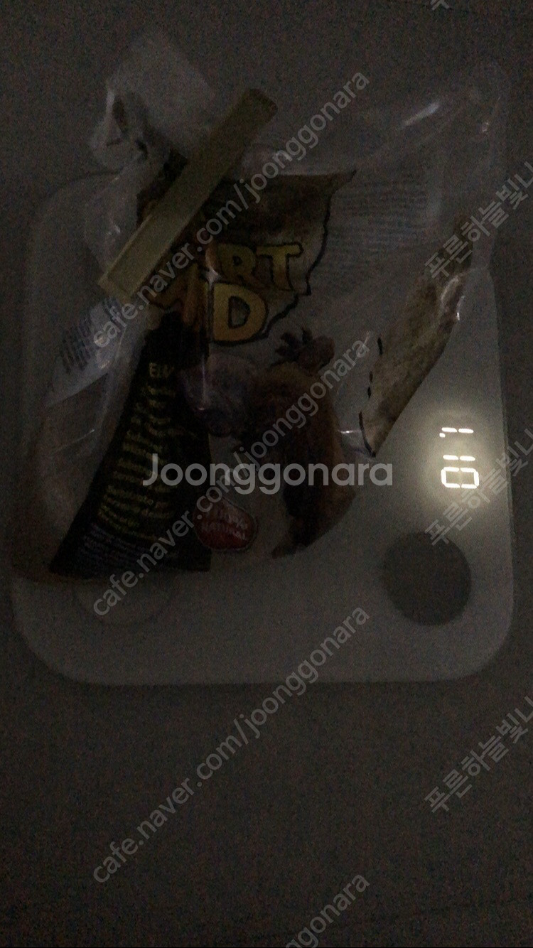 엑소테라 데저트 샌드 옐로우 햄스터 파충류 바닥재 사막 모래--2