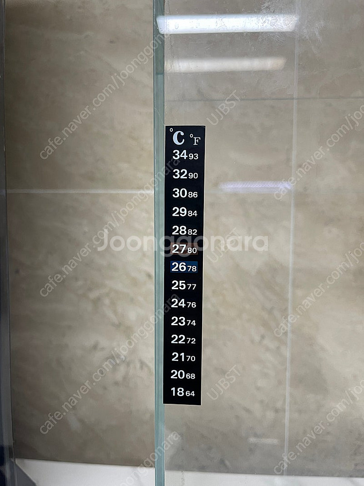 (경기 북부) 베타, 구피 수조 어항 큐브 25X25X45 S급 판매--1