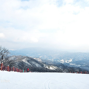 휘닉스파크 1/23일 4인숙박권