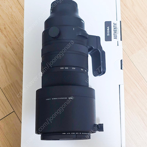 시그마 150-600 DG DN OS 소니