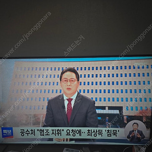 이도디스플레이 65인치 UHD TV