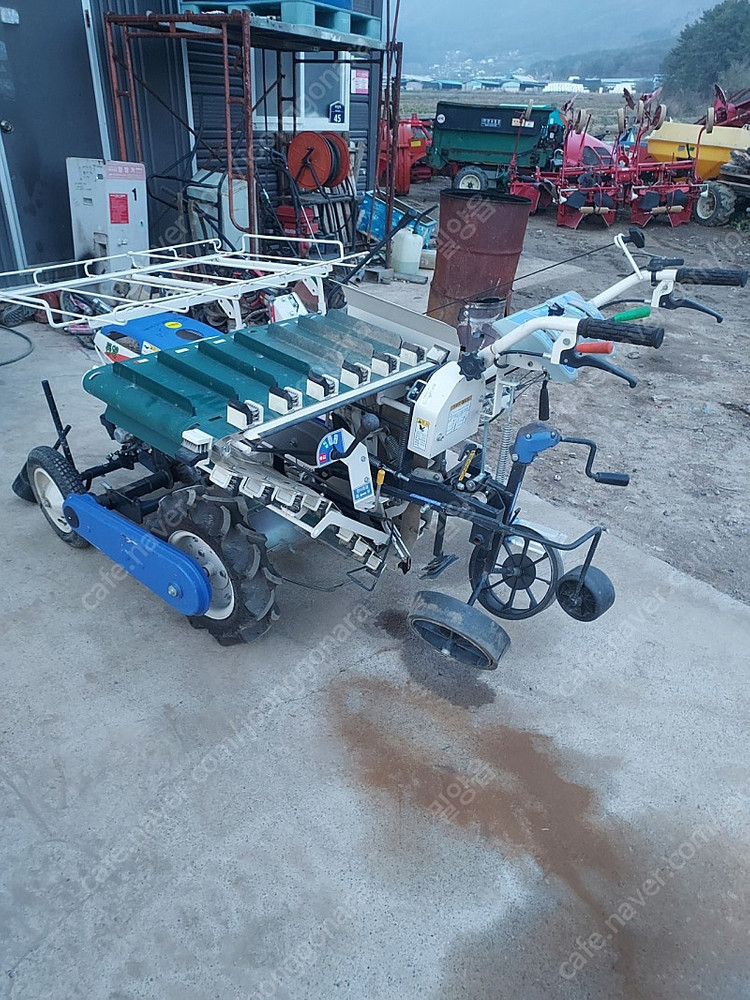 고구마이식기 고구마순고구마모종 이미지