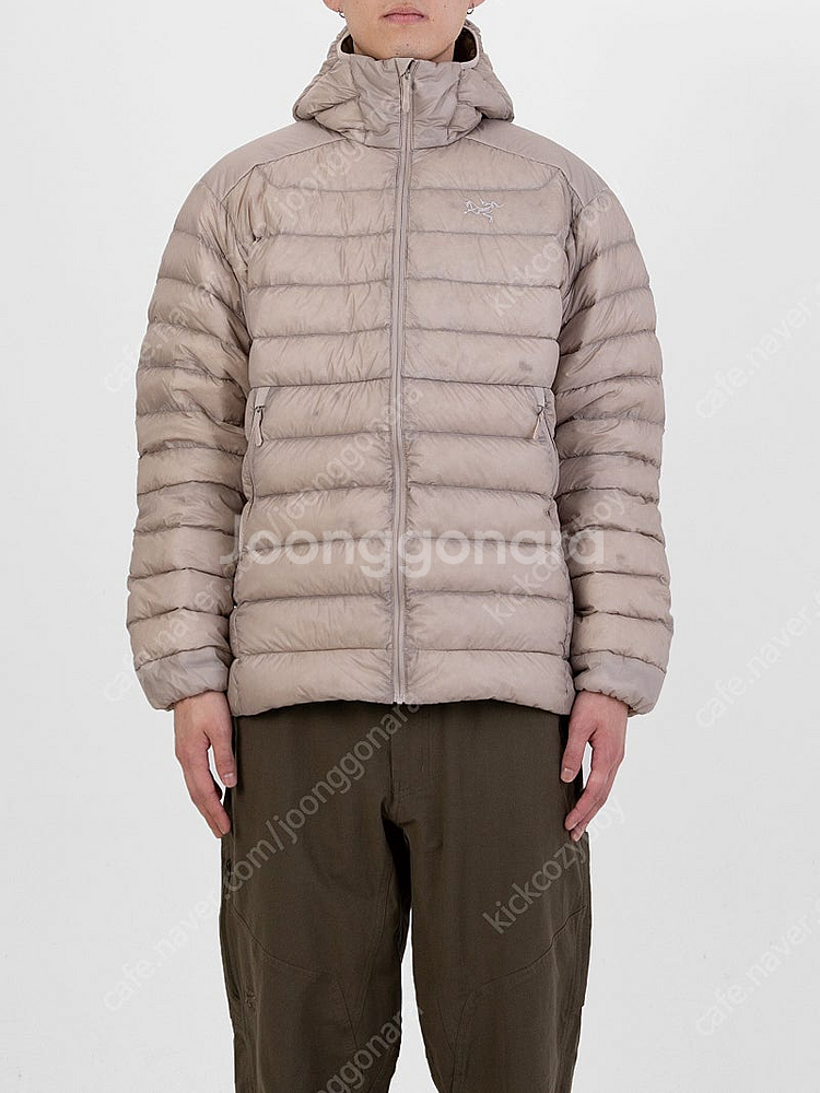 [M] 아크테릭스 세륨 후디 룬--0