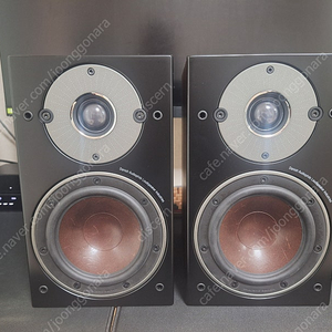 DALI Oberon 1 Monitor Speaker 달리 오베론1 북쉘프 스피커 다크 월넛 택포