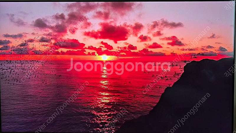 삼성 85인치(214cm) QLED 4K 스마트 TV--4