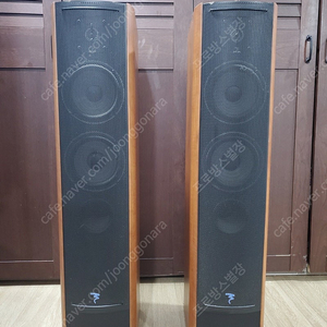 JMLab(Focal)의 Cobalt 816S 하이파이 스피커