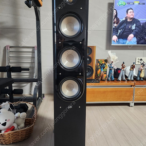 POLK S60 톨보이스피커(부산)