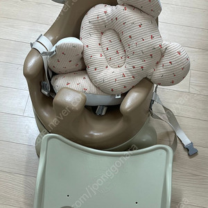 에시앙 범보의자(가격인하)