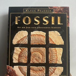 포실 fossil 보드게임