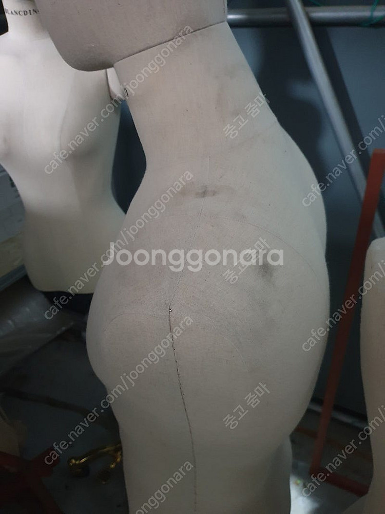 남자 여자 상체 마네킹--4