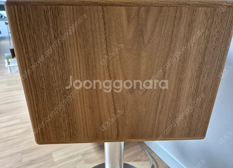 제네바 스피커 L 및 스탠드 판매합니다--3