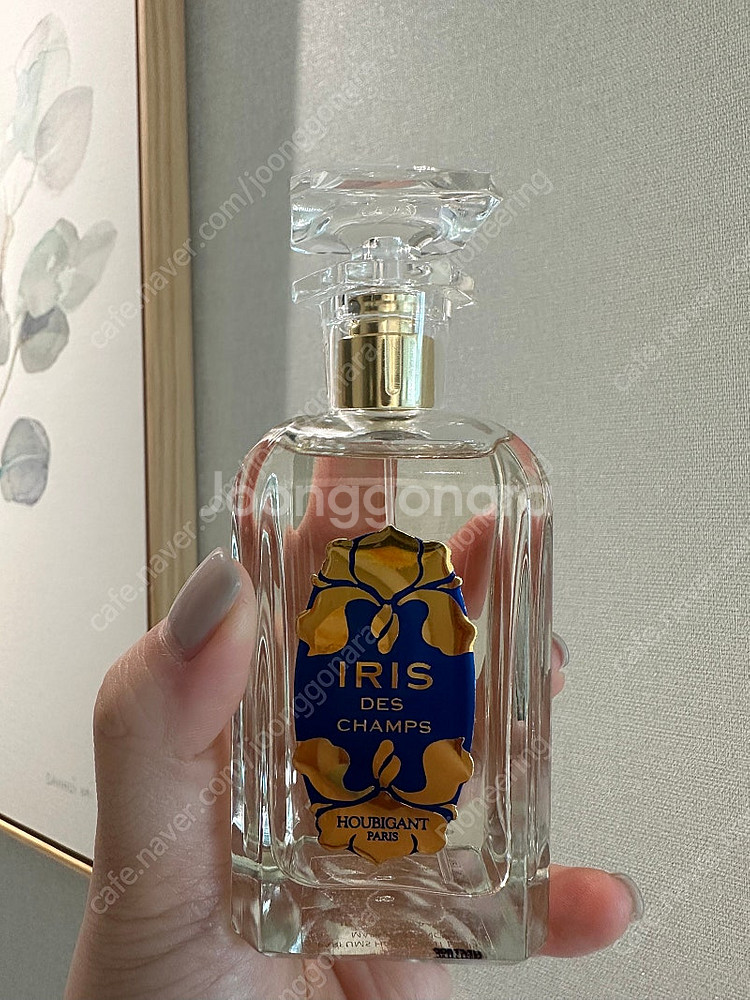 프랑스 우비강 아이리스 니치향수 100ml--0