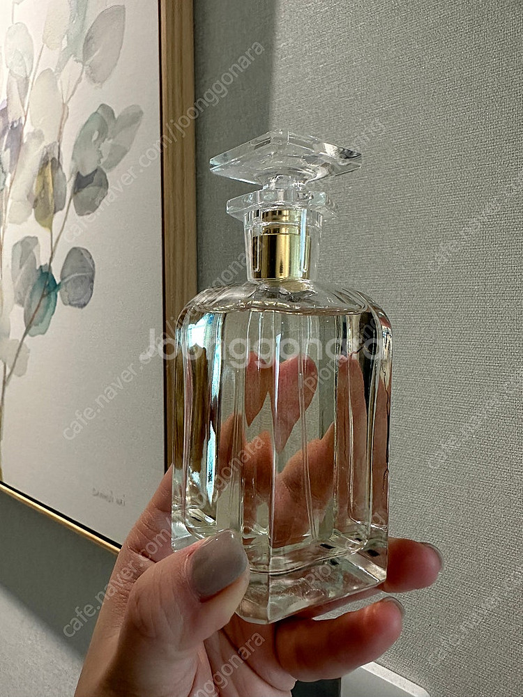 프랑스 우비강 아이리스 니치향수 100ml--1