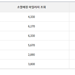 하나투어 마일리지 46,100마일리지 -> 40,000원