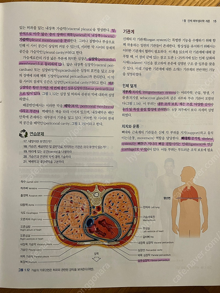 약대 전공서적 판매합니다--2