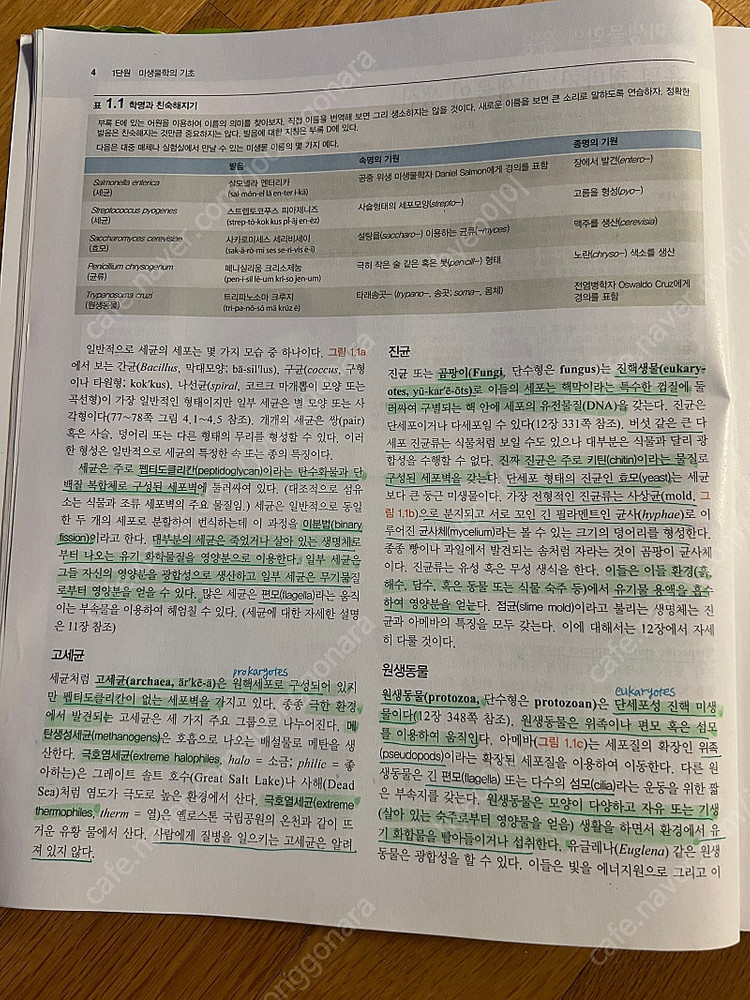 약대 전공서적 판매합니다--4