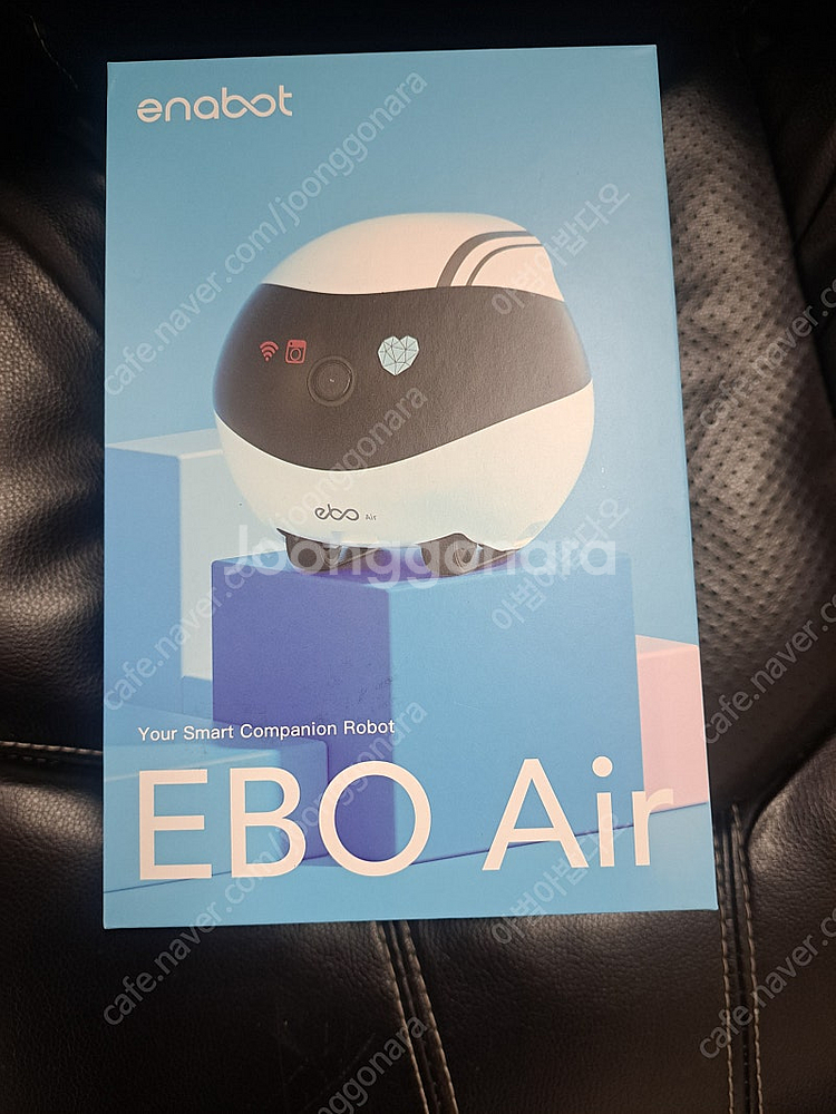 강아지 고양이 이동 cctv EBO Air 이보 에어--0