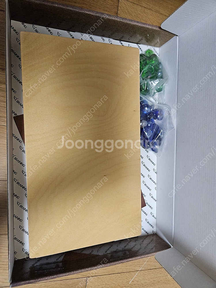 브레이닝교구--1