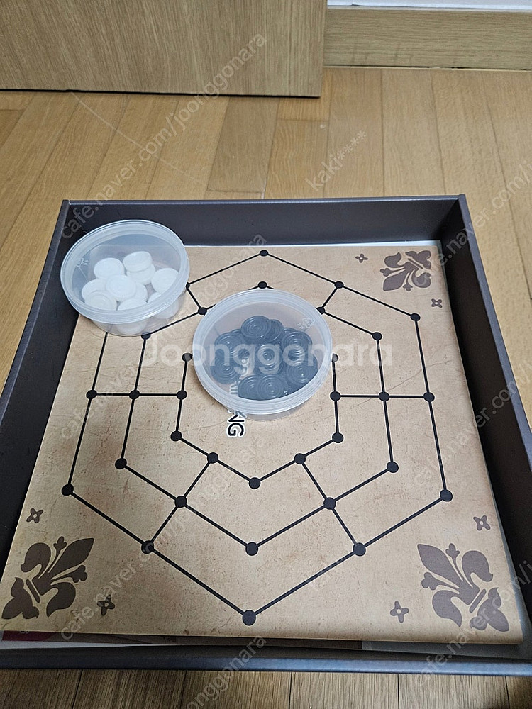 브레이닝교구--4