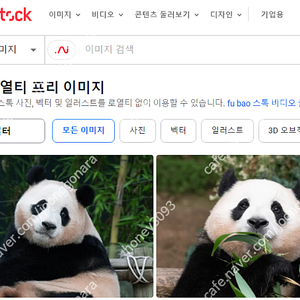 셔터스톡(Shutterstock) 이미지, 동영상, 음악 팝니다(2500원)