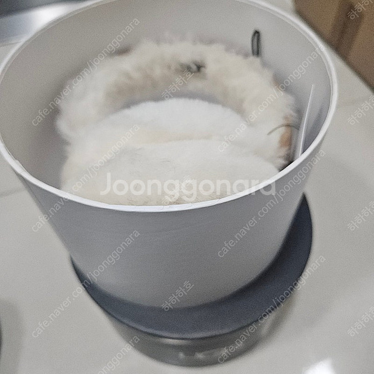 어그 이어머프 체스트넛 UGG 귀마개 새상품 직거래 가...--2