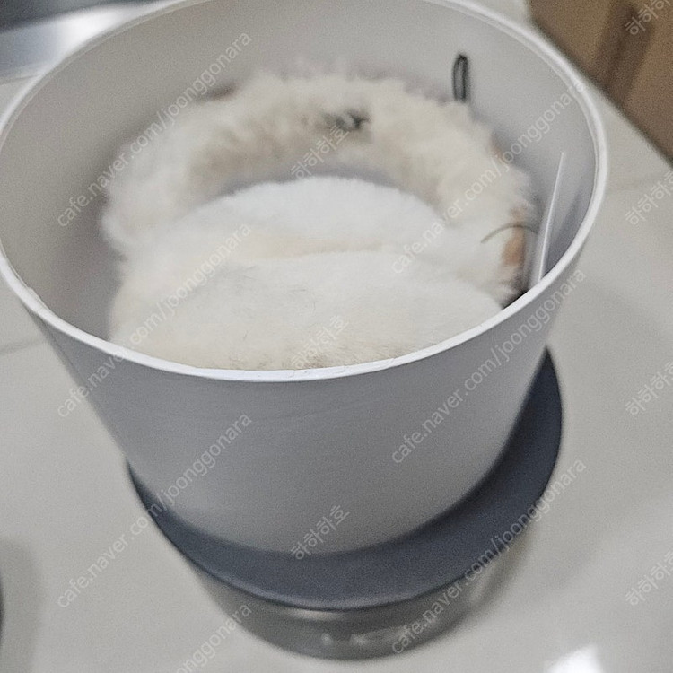 어그 이어머프 체스트넛 UGG 귀마개 새상품 직거래 가능 이미지