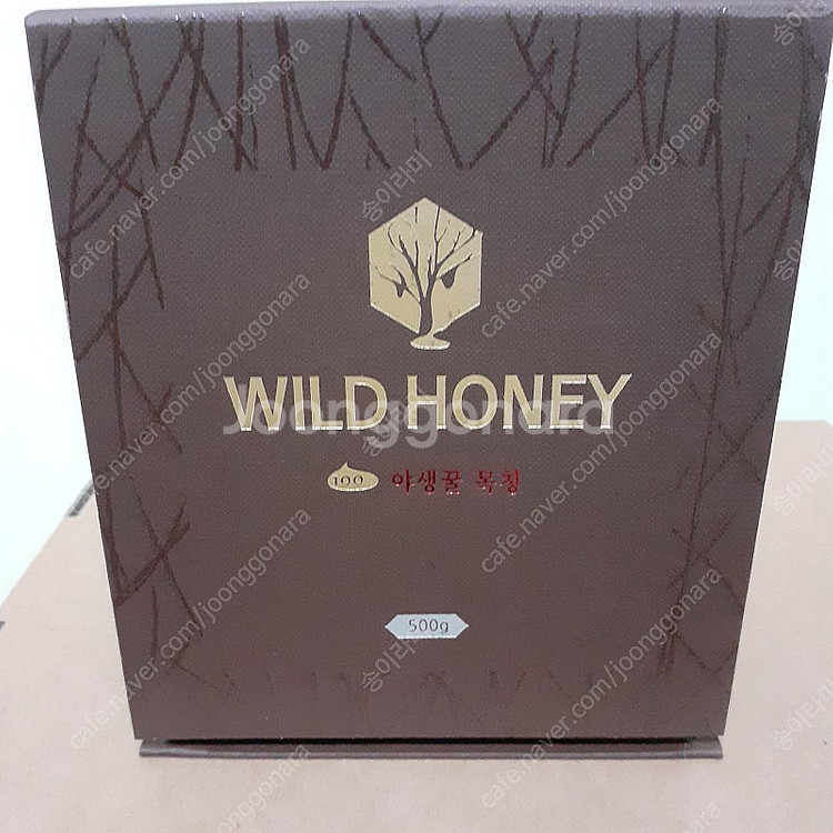 와일드허니 목청꿀 500g--1