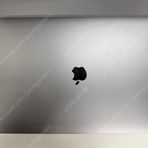 [가성비 갑](1년 사용)19년형 맥북프로 16인치 고급형 1TB MacBook Pro 16GB메모리 1TB (16-inch, 2019)