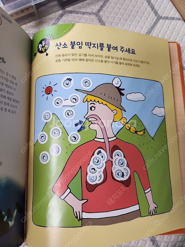 택포13)아람 과학도깨비 55권 전집--6