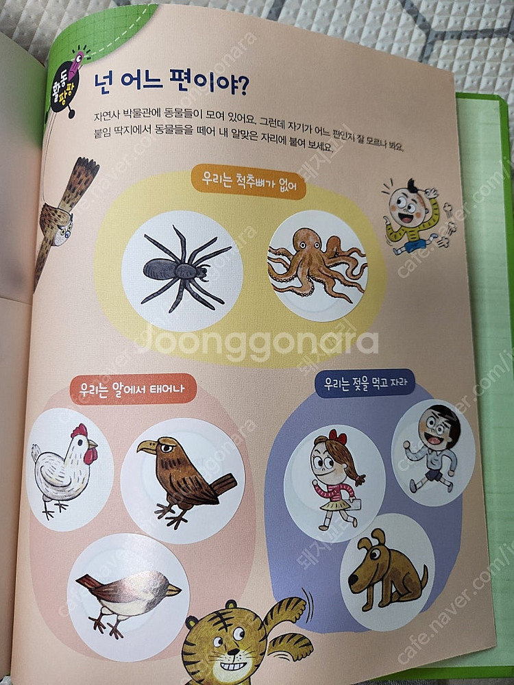 택포13)아람 과학도깨비 55권 전집--9