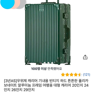 우위제 캐리어 29인치