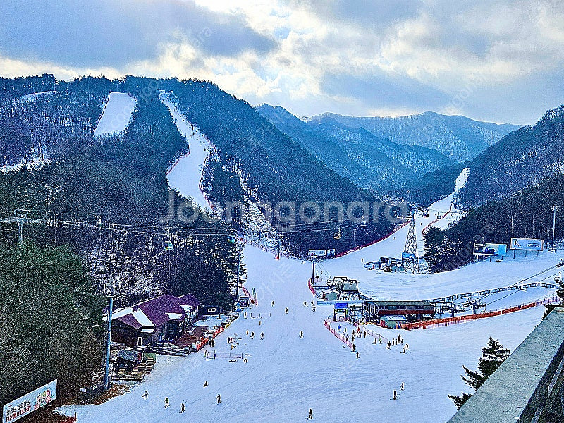 (1월10,11일) 엘리시안강촌 모나용평 무주리조트 오...--0
