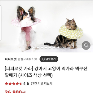 수의사가만든 입는 넥카라 퍼피로캣카라