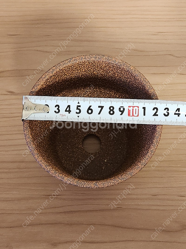 두갸르송 크런키 새팟 + 호야 웨이마니 클라우드 스카이...--2