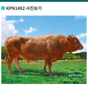 KPN 1492 정리합니다