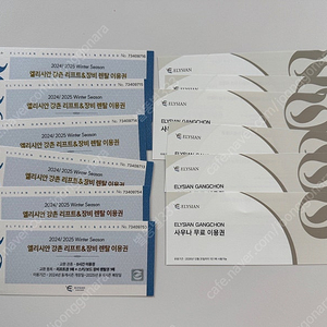 엘리시안 강촌 리프트 & 장비렌탈권 + 사우나 이용권 6세트