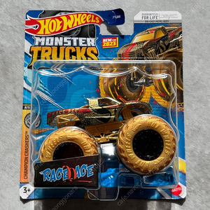 핫휠 몬스터 트럭 레이스 에이스 RACE ACE HOT WHEELS MONSTER TRUCKS