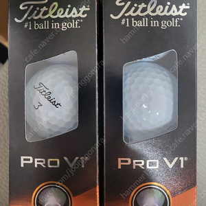 타이틀리스트 프로 v1 골프공 6구 Titleist pro