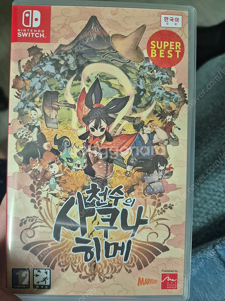 천수의사쿠나히메 닌텐도 스위치 칩 팝니다--0