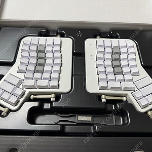 Ergodox ez 어고독스 에고독스 인체공학형 키보드 (저적축)