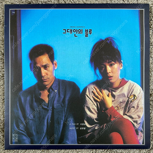 그대안의 블루 ost LP