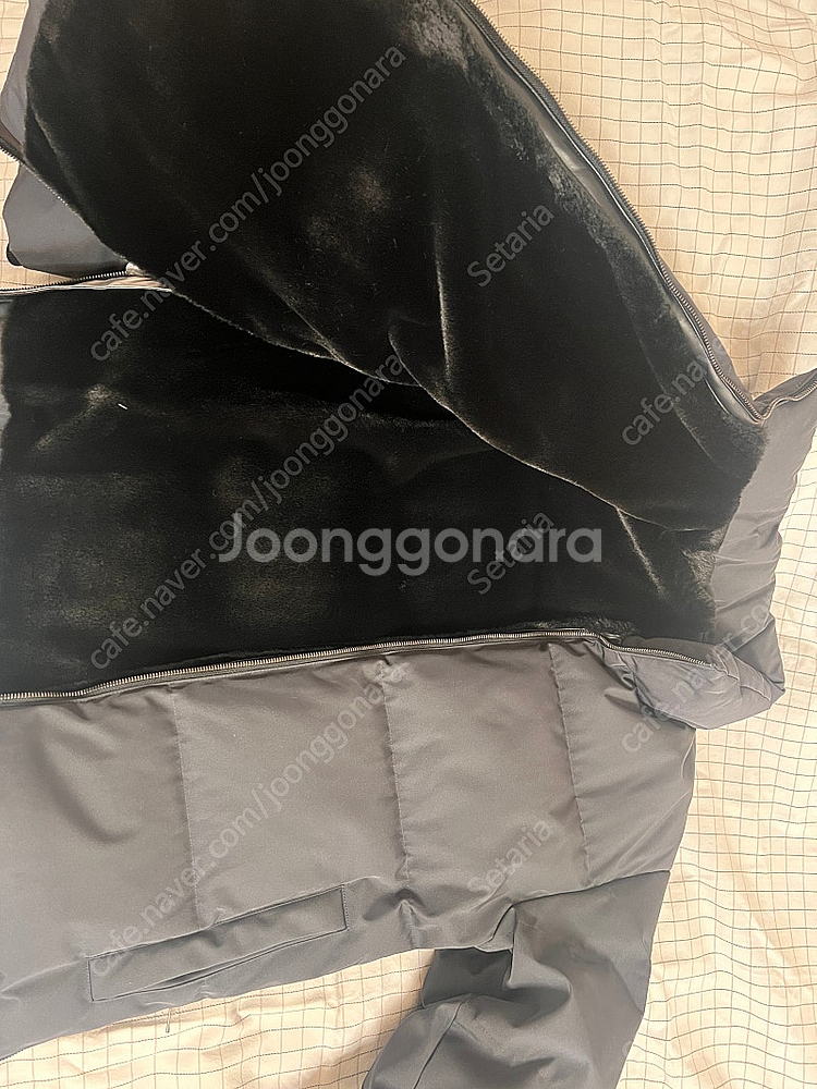 질스튜어트 남성 숏패딩--1