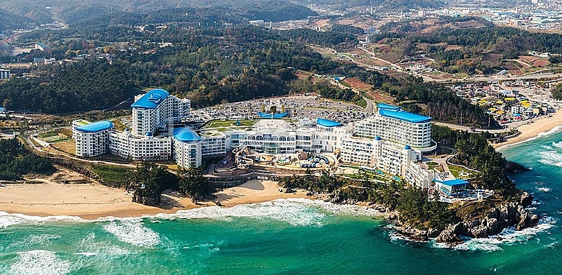 대명 삼척쏠비치 스위트취사 12월 1월 2월 주중 주말--0