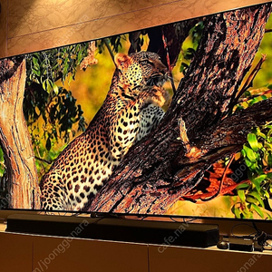 삼성 85인치 QLED TV QN85Q80T 스탠드 팝니다.