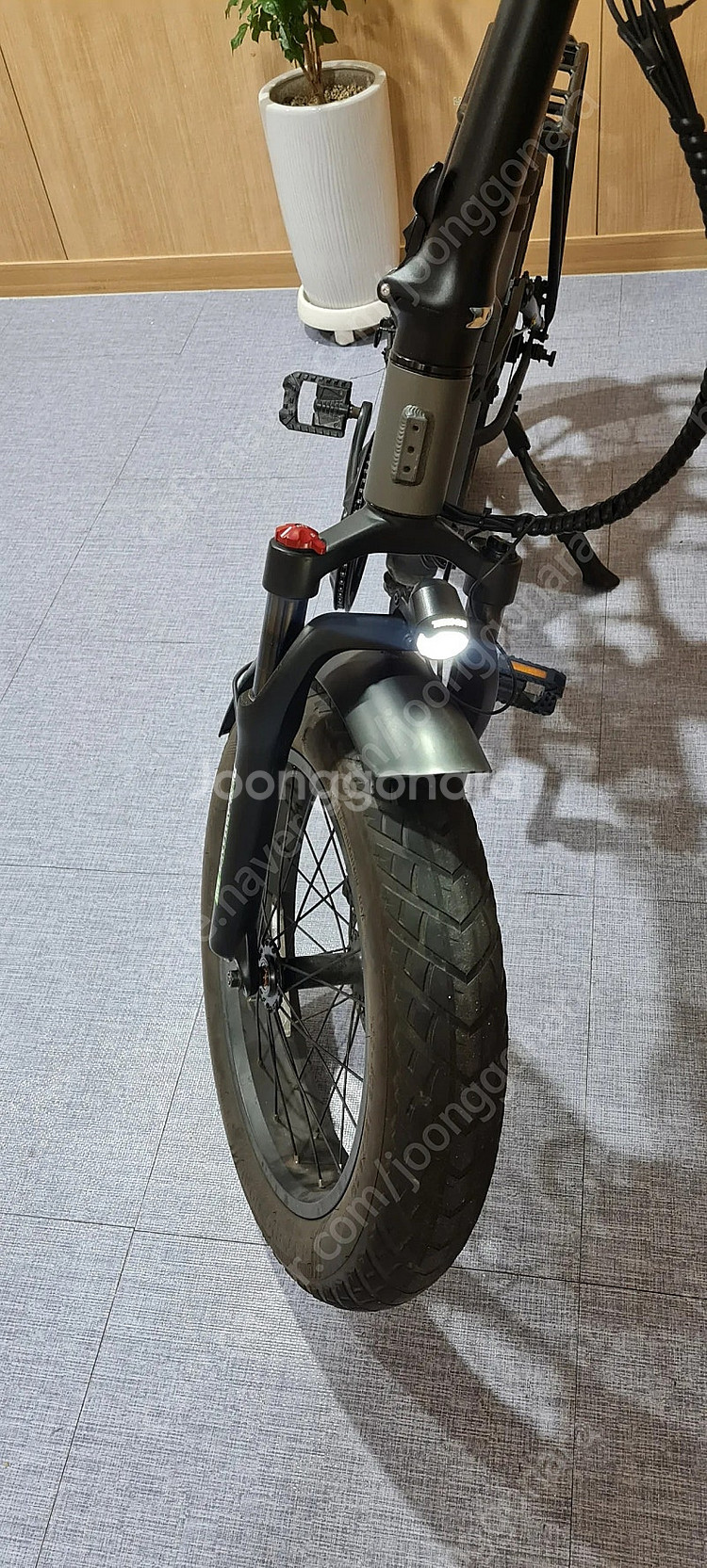 퀄리스포츠 퍼포먼스 리미티드 에디션 팻 48v 500w...--2