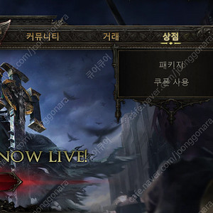 POE2 패스오브엑자일2 얼리억세스 코드 팝니다 15000