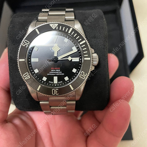 튜더 펠라고스 39 판매합니다