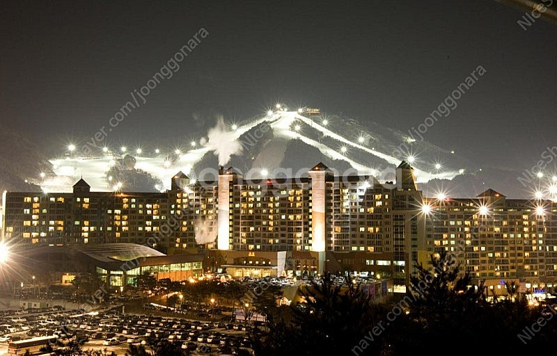 웰리힐리파크 1월11일(토) 27평 35평 콘도 숙박 ...--0